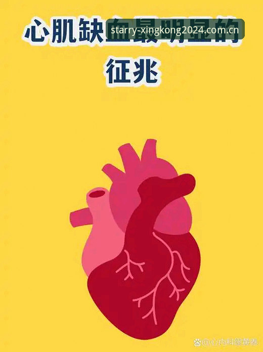 看球赛必备知识：读懂球员心脏警报背后的实用指南
